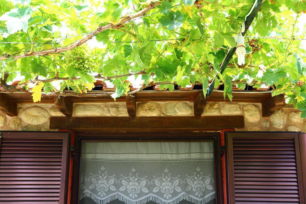 Villa Agapitos Sithonia ภายนอก รูปภาพ